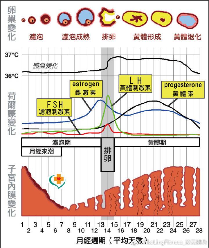 痛经食疗偏方大全_痛经偏方大全_痛经偏方