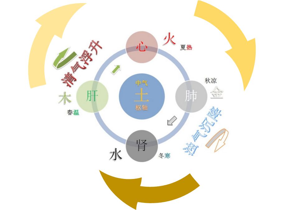 中医治愈奇病集成_中医外科学·中医儿科学·中医妇科学_中医奇方