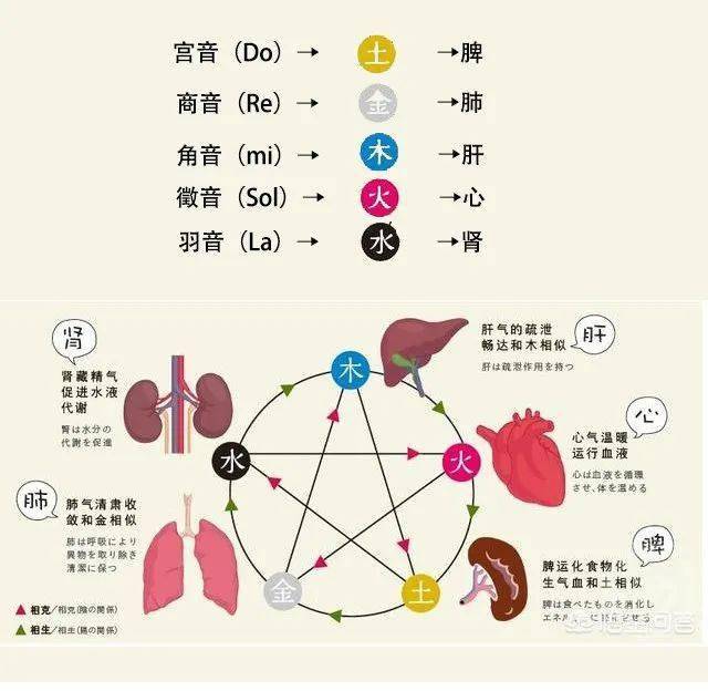 鸡蛋壮阳土方法_土方法壮阳_壮阳锻炼方法