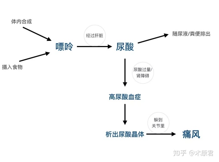 治疗尿酸高痛风秘方_甘油三脂和尿酸高转氨酶高怎么办_尿酸高秘方