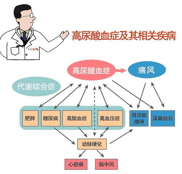 甘油三脂和尿酸高转氨酶高怎么办_尿酸高秘方_治疗尿酸高痛风秘方