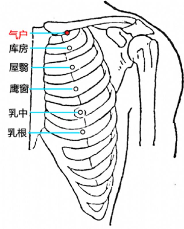 中医治疗白发的秘方_噎膈中医治疗秘方_中医治疗阳痿早泄秘方奇方