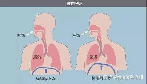 以前从不打鼾现在打鼾怎么治疗_孕妇打鼾_打鼾偏方