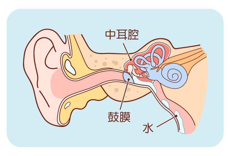 治中耳炎的特效偏方_中耳炎偏方_治疗中耳炎的偏方洋葱