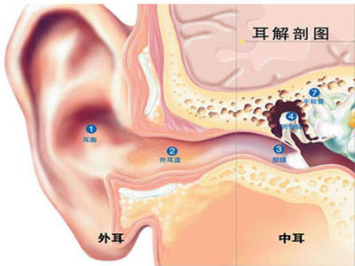 中耳炎偏方_治疗中耳炎的偏方洋葱_治中耳炎的特效偏方