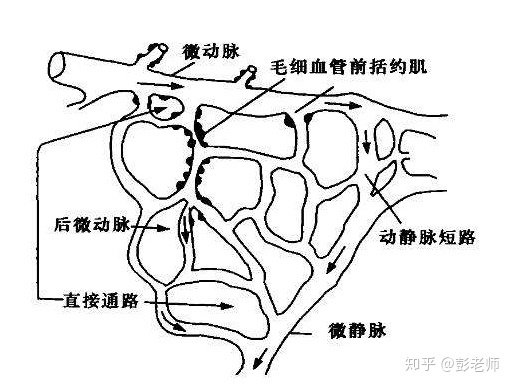 治疗冻疮的30个偏方_脸上冻疮治疗偏方_治疗冻疮的偏方