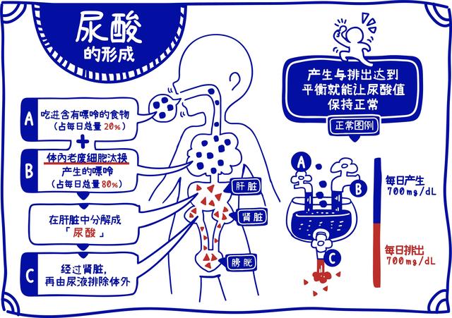 尿酸高吃什么降尿酸_甘油三酯高 尿酸高_尿酸高秘方