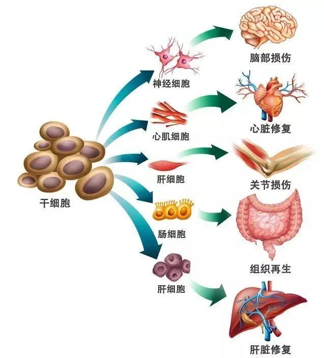 治疗关节炎偏方_治疗膝盖关节疼偏方_治疗关节炎的偏方6