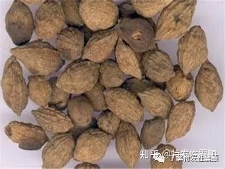 如何使语文课堂更加有语文味_一味中药使男人更坚硬_中药面膜祛斑使斑加重