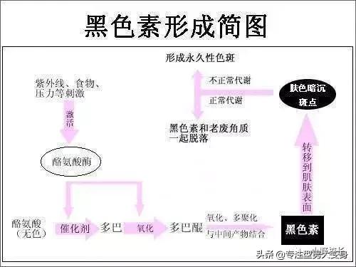 祛痘印的干货来了！只需三步，让你的脸部皮肤越来越好