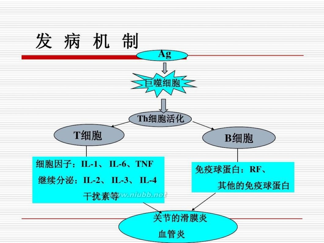 特效公牛牌风湿骨痛灵_特效风湿骨痛宁胶囊_风湿骨痛特效秘方