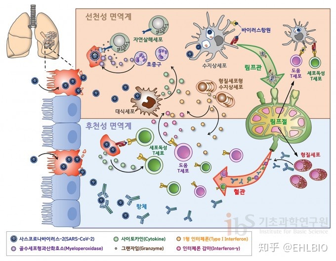 颈椎病治疗那种方法好_猪瘟最好治疗方法_治疗腋臭那种方法好