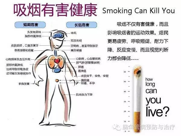 小孩肺炎的食疗偏方_肺间质性纤维化 偏方_肺气肿偏方