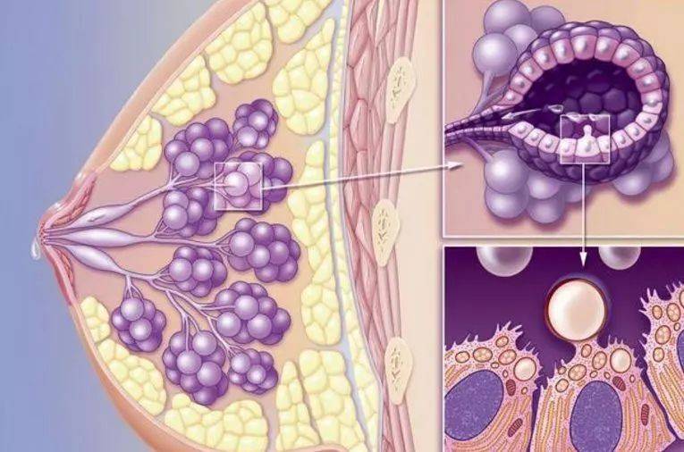 彻底根治乳腺结节偏方_彻底根治扁平疣的偏方_彻底根治疝气偏方