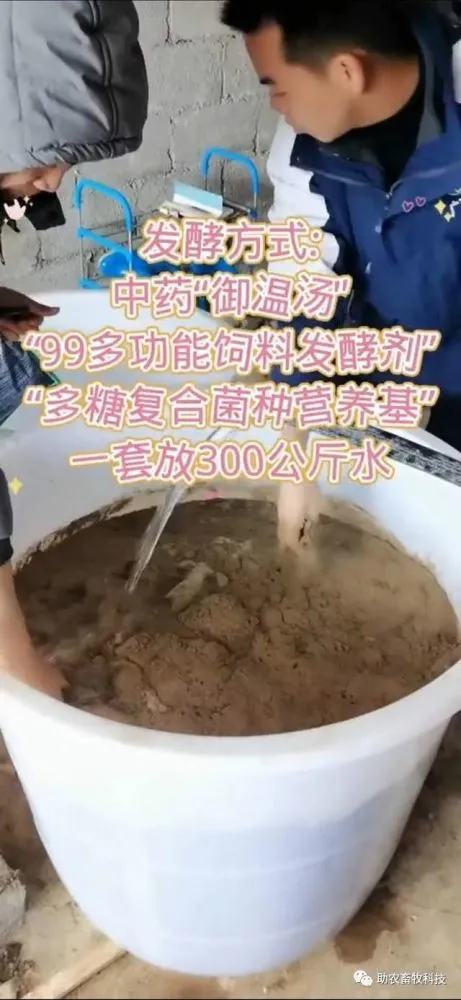 夏天排毒中药配方_清热排毒祛痘中药配方_排毒中药配方