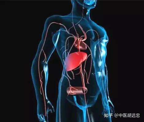 中医治肝硬化腹水的偏方_肝钙化和肝硬化_治肝硬化的偏方