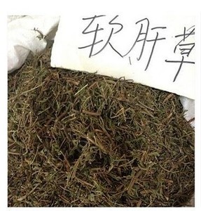 中医治疗肝病偏方_治肝病的偏方_治疗肝病中药偏方