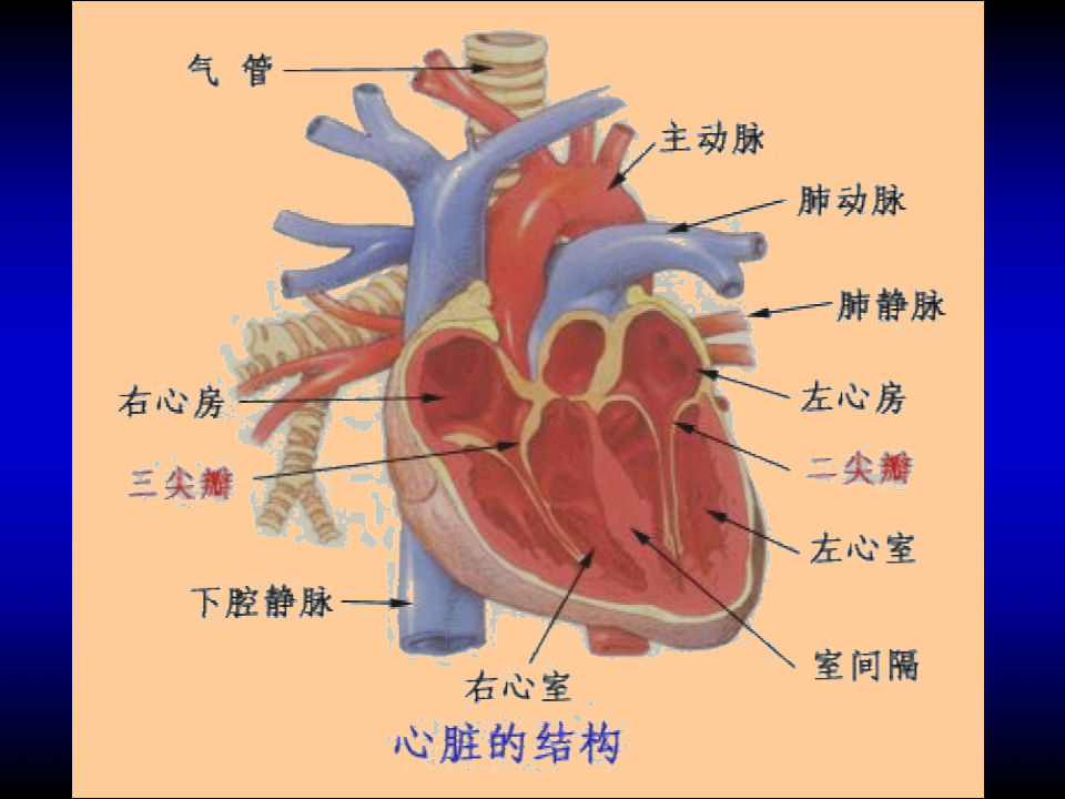 治疗前列腺炎疾病_手干痒起水泡治疗偏方治疗_瓣膜疾病治疗偏方