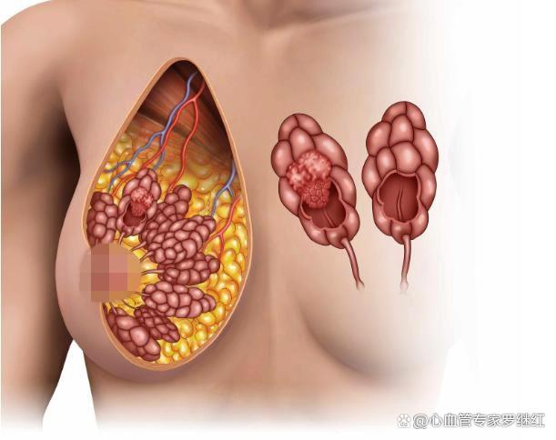 乳腺增生断根偏方_sitesuoyang.net 乳腺囊增生是几级增生_老中医治晕车断根偏方