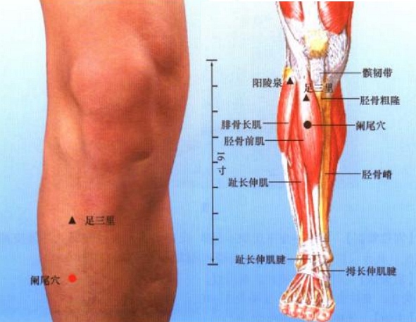 腰椎间盘突出偏方_腰椎肩盘突出2/33/4怎么治疗_腰椎肩盘突出素