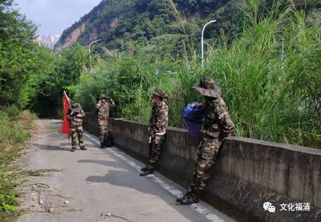 民间草药秘方红线蛇_各种民间草药秘方_民间草药单方秘方