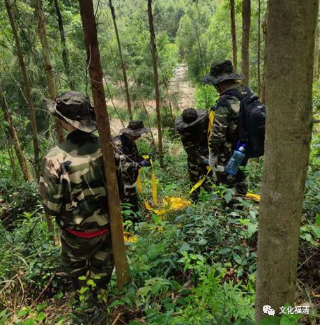 民间草药秘方红线蛇_各种民间草药秘方_民间草药单方秘方