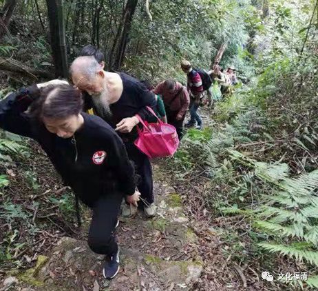 民间草药秘方红线蛇_民间草药单方秘方_各种民间草药秘方