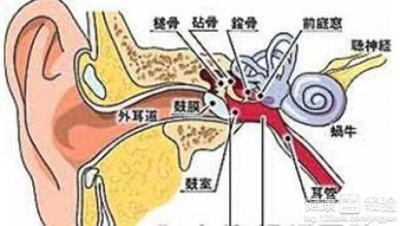 中医治耳鸣偏方_老偏方耳鸣_偏方治大病 耳鸣