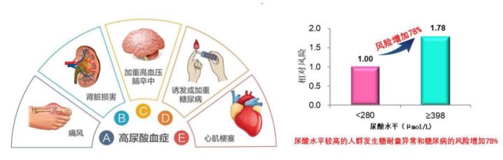 尿酸高吃什么能降尿酸_尿酸高偏方_血钙高血磷低,且尿酸高