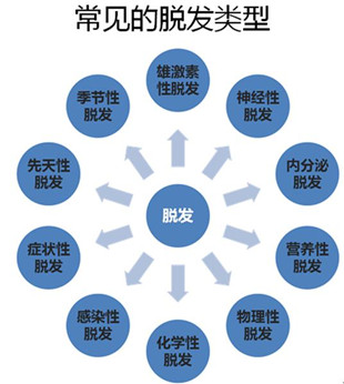 脂溢脱发原因及治疗_女性脂溢脱发什么原因_脂溢性脱发偏方