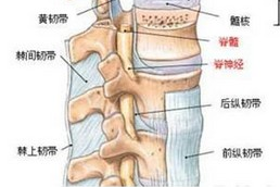 这个小偏方7天就能缓解腰椎间盘突出，太厉害了，快转发！