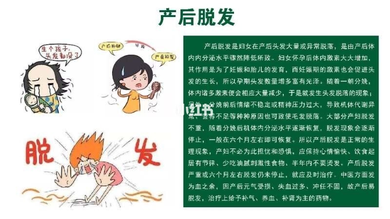 脂溢性脱发治疗偏方