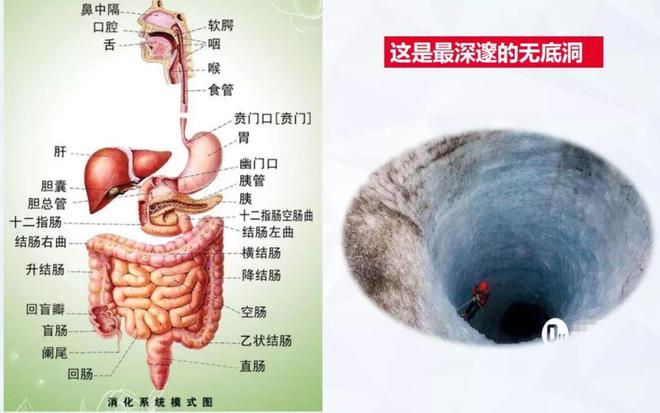 治疗肛瘘最真实的偏方_治疗肛瘘的偏方_治疗肛瘘的偏方