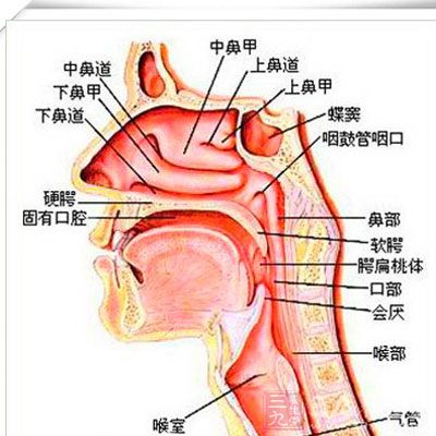 治疗鼻窦炎的妙招小偏方