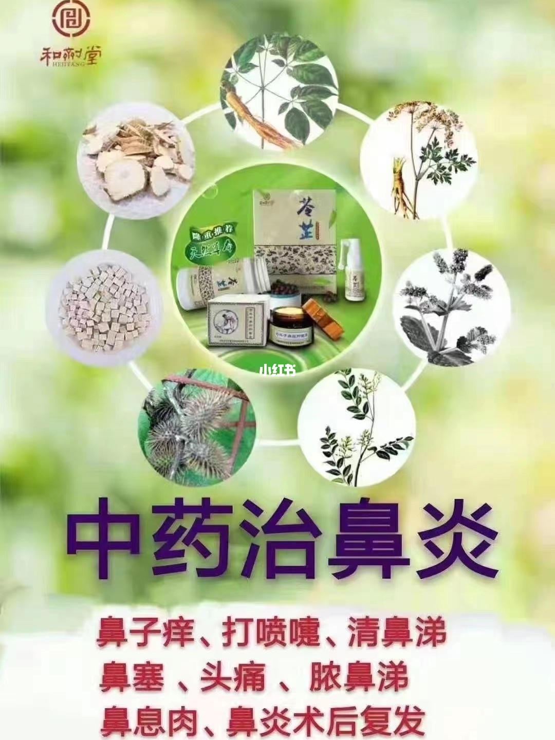 治疗鼻窦炎的妙招小偏方