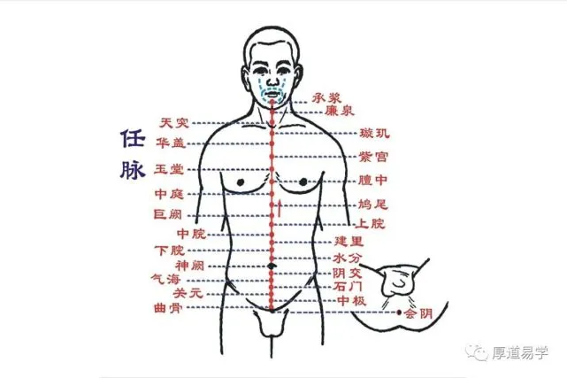 打通经络的最快偏方