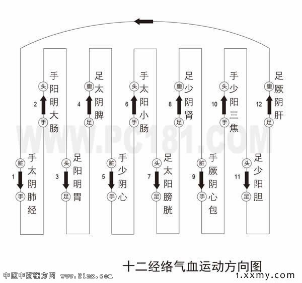 打通经络的最快偏方