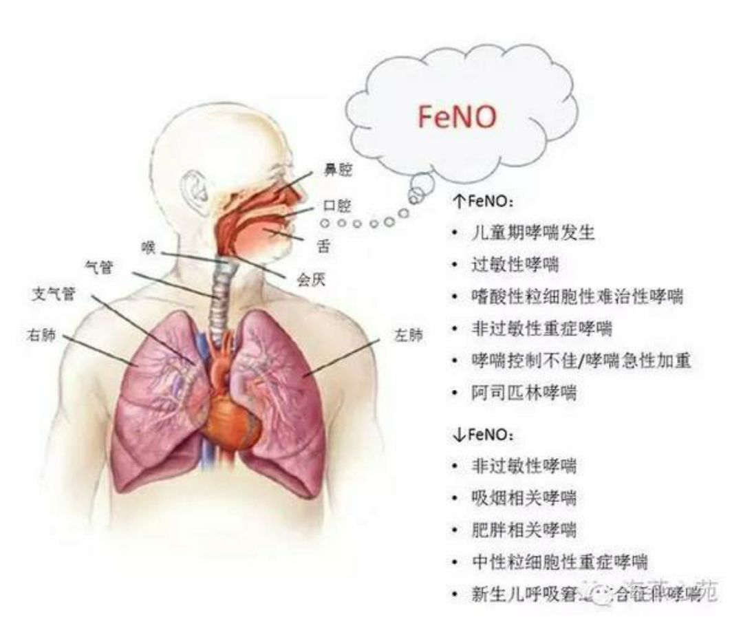 根治哮喘偏方_哮喘能根治偏方大全_咳嗽变异性哮喘能根治吗