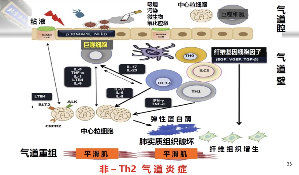 咳嗽变异性哮喘能根治吗_哮喘能根治偏方大全_根治哮喘偏方