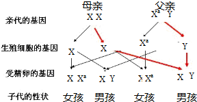 生肖牛天蝎座男生肖鼠金牛座女_朱砂,琥珀,雄黄生儿子的秘方_生男生女秘方