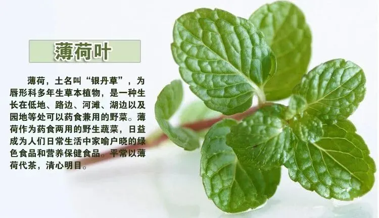 siteliemingwang.com 带土偏旁的女孩名字_醉酒后头痛有什么方法缓解 蜂蜜_偏头痛的土方法