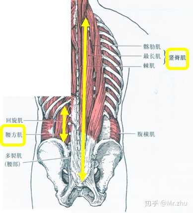 中医治疗耳鸣经验方_中医治疗脑血栓灵验方_中医治疗腰肌劳损验方