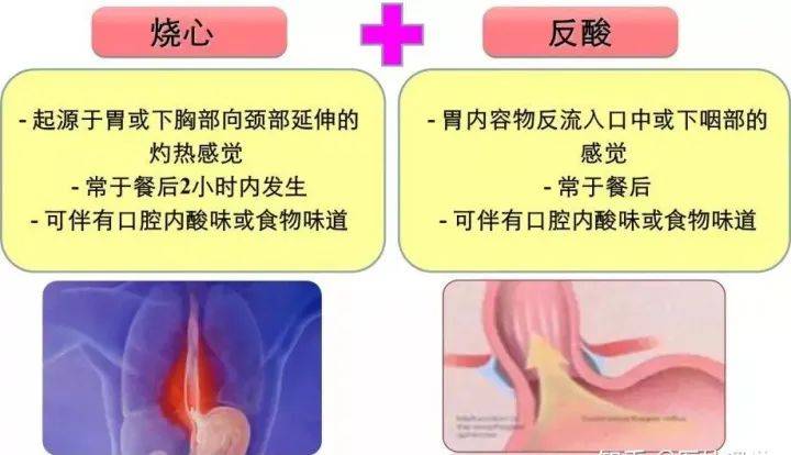 中医治颈椎病秘方_中医治未病都治哪些病_颈椎枕哪个品牌好治颈椎