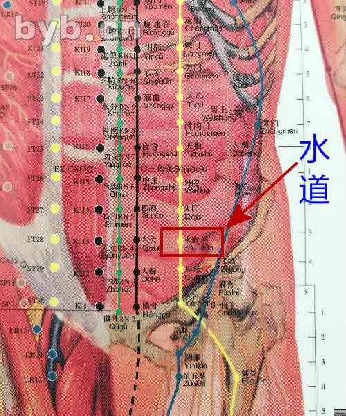 根治尿路感染民间偏方_霉菌性阴炎加解脲支原体感染怎么根治_民间根治偏头痛偏方