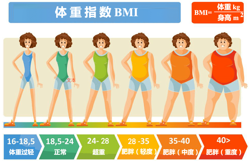 玉米须减肥偏方_减肥偏方_偏方减肥中药