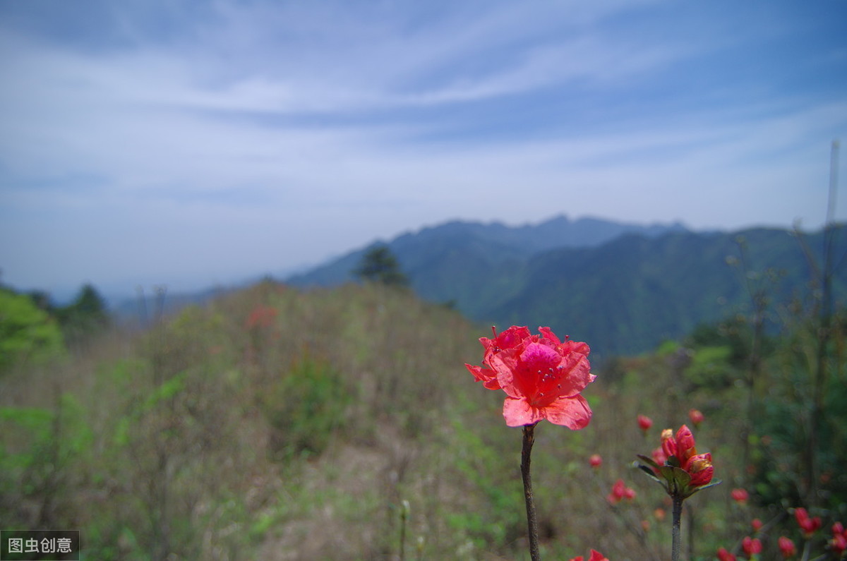 12个快速祛痘小偏方