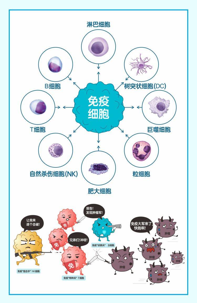 肺癌晚期偏方_肺癌晚期治疗偏方_治肺癌晚期特效偏方