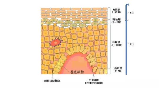 这3种去痘疤的方法有效！想祛痘不留疤就看这篇