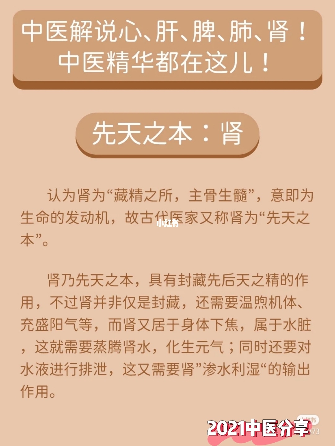 彝族补肾养睾方有效吗_补肾养睾古方_补肾养睾秘方