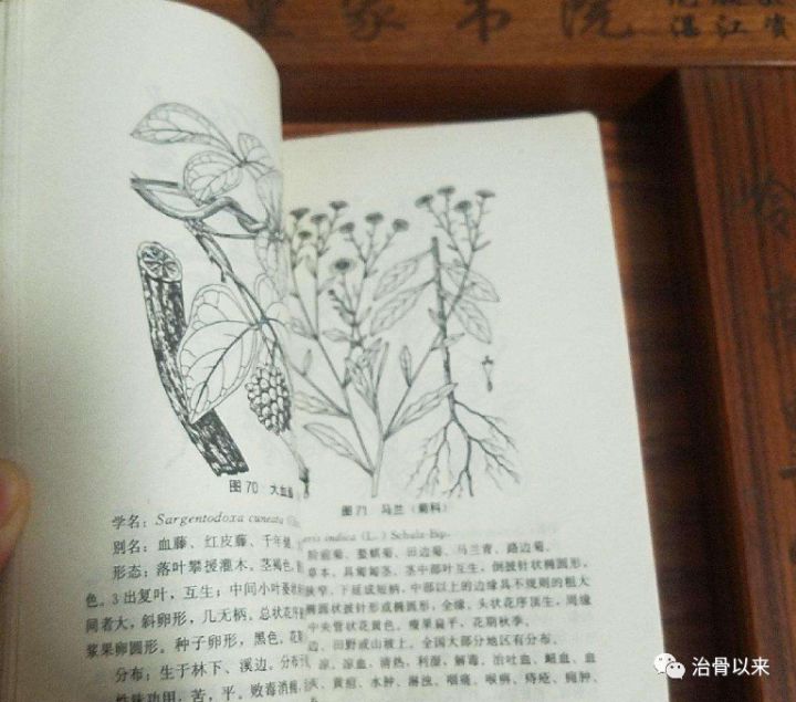 中草药配方大全书_黑坑江湖小药配方大全_中草配方茶疗效怎么样